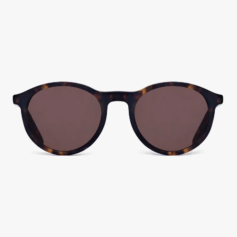 ladies sunglasses reef glow -Women's Løkken Dark Turtle